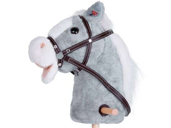 Hobby horsing